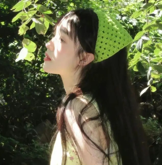 睡莲